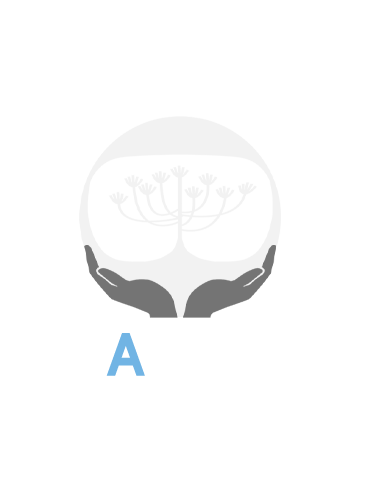 Patrimonio Accesible Logo